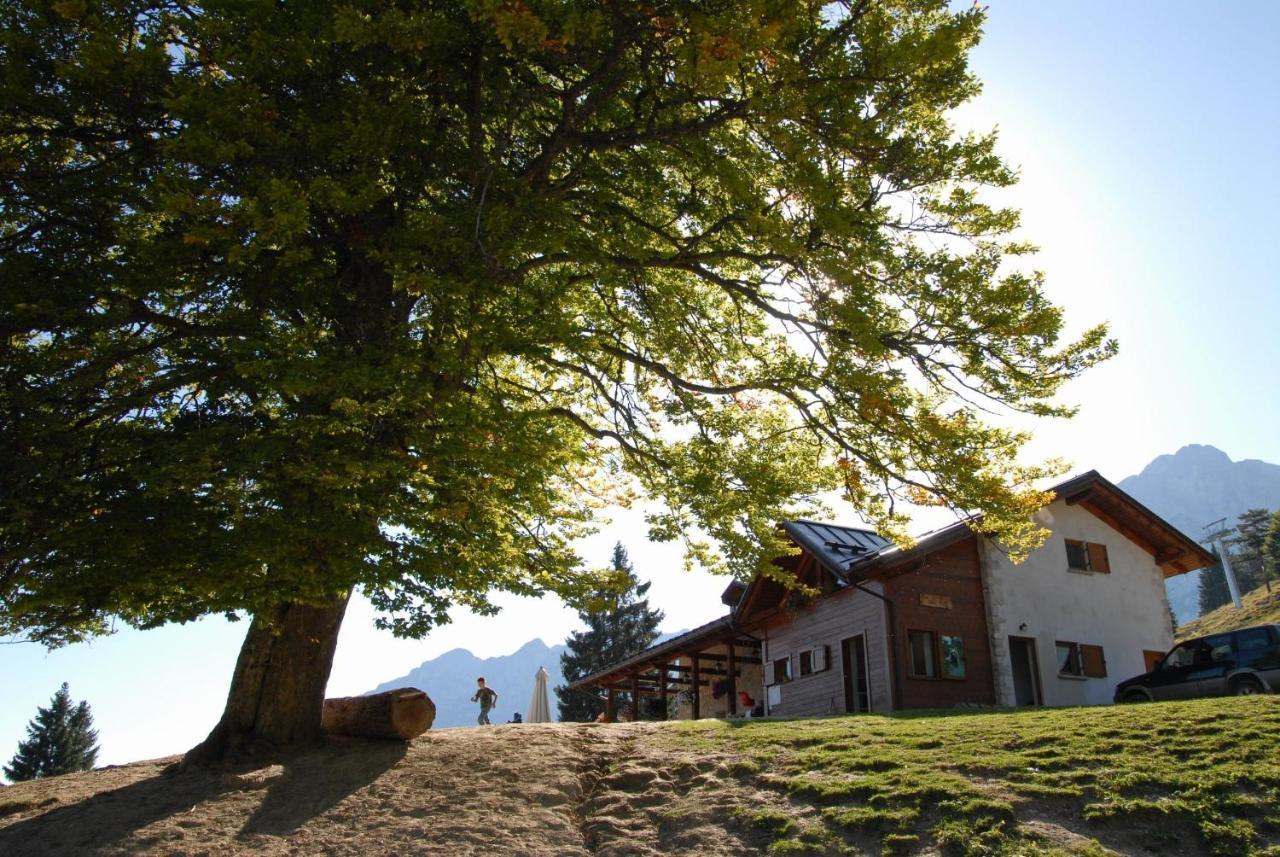 Hotel Piccola Baita Molveno Buitenkant foto